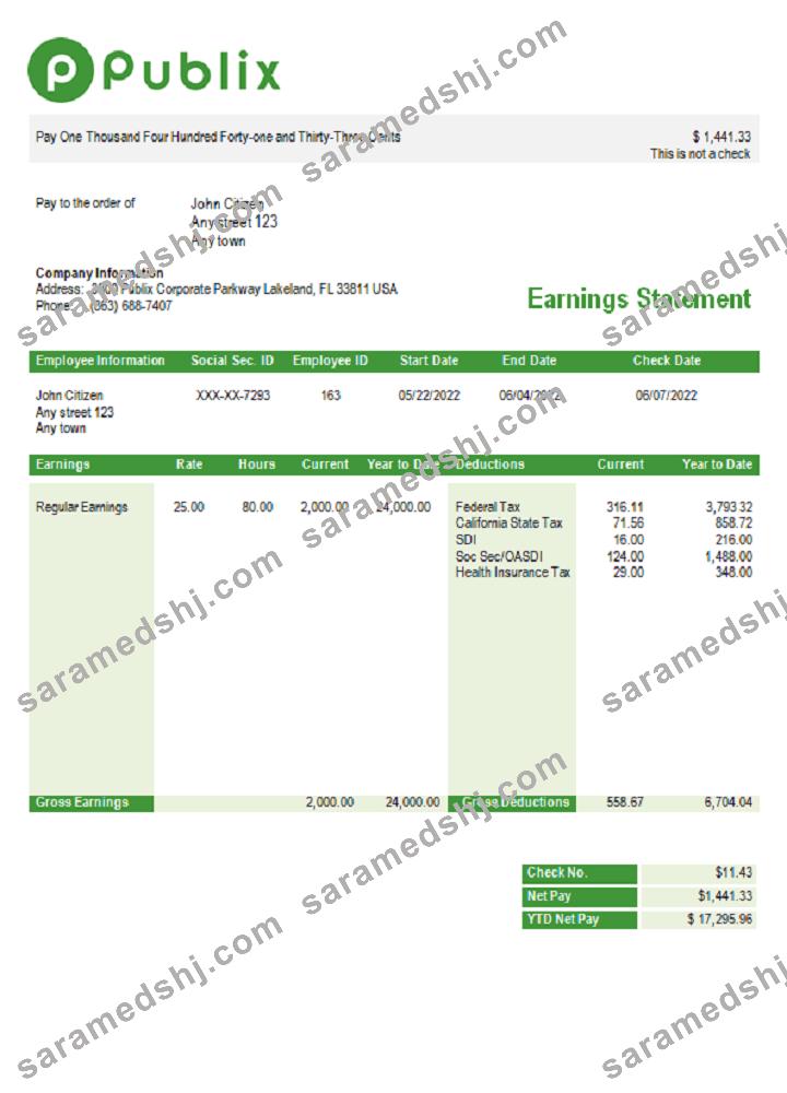 USA Publix Super Markets Inc. supermarket company pay stub